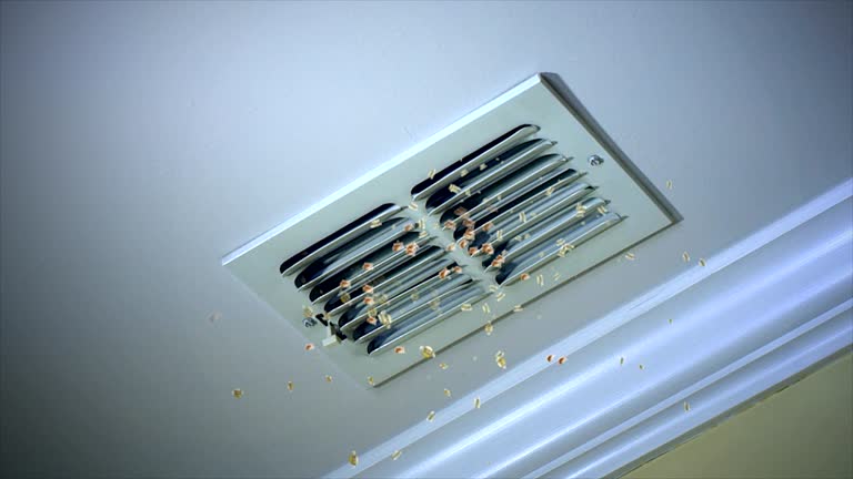 Best Emergency Air Duct Cleaning  in Bolivar Peninsula, TX