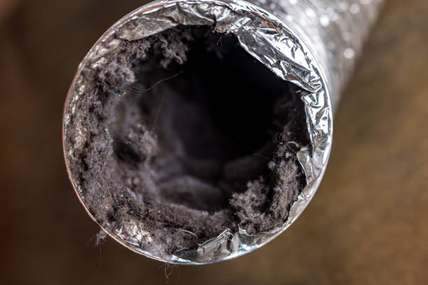 Best Professional Duct Cleaning Services  in Bolivar Peninsula, TX