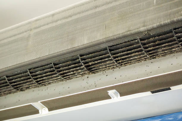 Best Local Air Duct Cleaning Services  in Bolivar Peninsula, TX